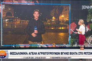 Θεσσαλονίκη: Αγέλη αγριογούρουνων βγήκε βόλτα στο Ρετζίκι