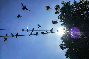 Στους 32 βαθμούς ο υδράργυρος σήμερα στην Κρήτη