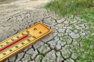 Κλιματική αλλαγή: Το καλοκαίρι του 2024 ήταν το θερμότερο εδώ και 45 χρόνια