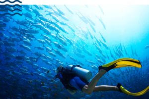 Καταδυτικό Πάρκο δημιουργείται στην Αγία Πελαγία