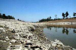 Λειψυδρία: Λιτανείες και δεήσεις για να βρέξει – «Οι άνθρωποι βρίσκονται σε απόγνωση»