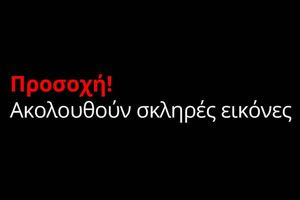 Προσοχή σκληρές εικόνες!