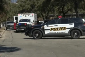 Τέξας: Τρίχρονος πυροβόλησε και σκότωσε βρέφος 10 μηνών