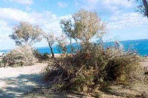 Συνεχίζονται οι δράσεις εξωραϊσμού κοινόχρηστων χώρων του Δήμου Χερσονήσου