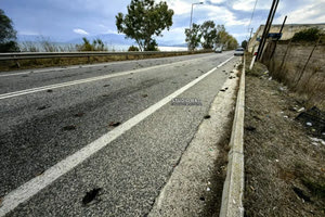 Θλιβερό θέαμα στο Ναύπλιο: Εκατοντάδες νεκρά πουλιά στην παραλιακή