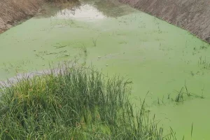 Και όμως αυτός είναι ο Γιόφυρος – φωτογραφίες και video