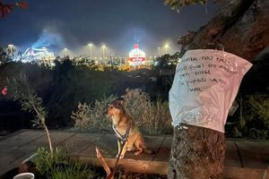 Η συγκινητική ιστορία του σκυλάκου που είναι δεμένος στα τείχη
