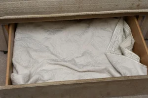 Φρίκη: Μητέρα έκρυβε την κόρη της σε συρτάρι για τρία χρόνια – «Έζησε έναν ζωντανό θάνατο»