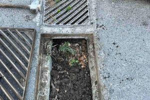 Συνεχίζεται εντατικά από τη ΔΕΥΑΗ ο καθαρισμός φρεατίων και σχαρών σε ολόκληρο τον Δήμο Ηρακλείου