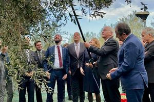 Κρήτη: Όταν ο Γερμανός πρόεδρος έπιασε την βέργα και ράβδισε ελιές