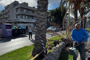 Hράκλειο: Έπεσε φοίνικας στην 62 Μαρτύρων!