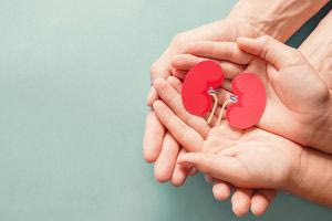 Ρεκόρ δωρεάς οργάνων στην Ελλάδα για το 2024