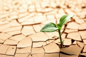 ΜΕΤΕΟ: Το 2025 έπεσαν στην Κρήτη οι λιγότερες βροχές από το μέσο όρο των τελευταίων 12 ετών