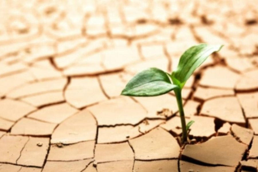 ΜΕΤΕΟ: Το 2025 έπεσαν στην Κρήτη οι λιγότερες βροχές από το μέσο όρο των τελευταίων 12 ετών