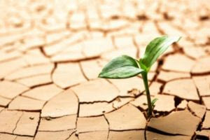 Χθες… σήμερα αύριο 26/11/2024