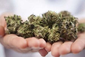 Αρχάνες: Συνελήφθη 52χρονος για κατοχή κάνναβης