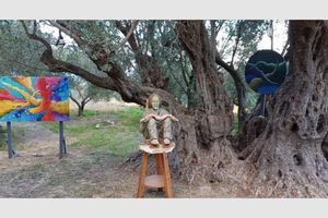 Aσίτες Ηρακλείου: Έργα τέχνης στον κορμό αρχαίου ελαιόδεντρου ηλικίας 2.500 ετών!