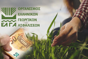 ΕΛΓΑ: Την Παρασκευή οι αποζημιώσεις στους πληγέντες κτηνοτρόφους