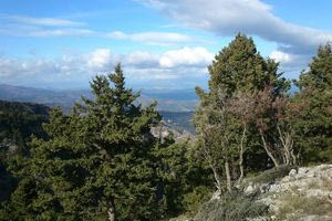 Χανιά: Έχασαν τον προσανατολισμό τους στο φαράγγι και στήθηκε επιχείρηση διάσωσης