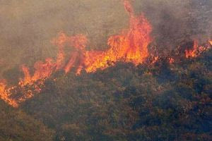 Ηράκλειο: Συνελήφθη ηλικιωμένος για εμπρησμό – κάηκαν 10 στρέμματα δασικής έκτασης