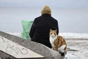 Τι καιρό θα κάνει τον χειμώνα – Η πρόγνωση της ΕΜΥ για το ερχόμενο τρίμηνο