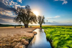 Η εξοικονόμηση ενέργειας: πράξη κοινωνικής ευθύνης