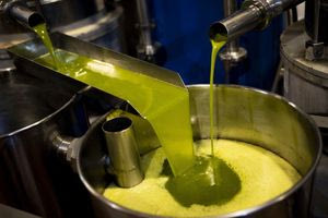 Άγονος ο διαγωνισμός για 100 τόνους κρητικό λάδι – Δείτε το λόγο