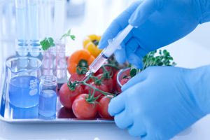 Ποιες είναι οι εγγυήσεις προστασίας του καταναλωτή από ακατάλληλα προϊόντα;