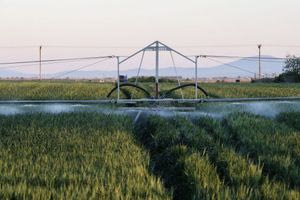 ΟΠΕΚΕΠΕ: Διώκεται η υπάλληλος που αποκάλυψε το σκάνδαλο εκατομμυρίων