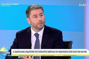 Ανδρουλάκης: Η κυβέρνηση εργαλειοποίησε τα βάσανα του λαού για να έχει υπερέσοδα