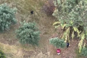 Γυναικοκτονία στο Αγρίνιο: Συγκλονιστικό βίντεο με τις τελευταίες στιγμές της δραματικής διαπραγμάτευσης με τον 30χρονο