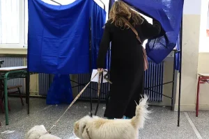 Εκλογές ΣΥΡΙΖΑ: Πάνω από 53.000 έχουν ψηφίσει για νέο αρχηγό – Πότε κλείνουν οι κάλπες