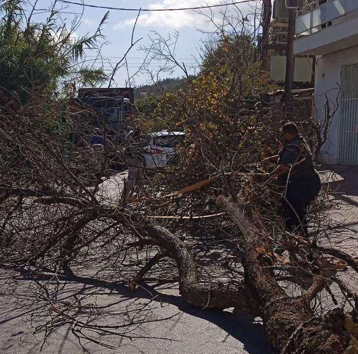 Ένα δέντρο έπεσε στις Τρεις Βαγιές στο Ηράκλειο