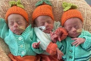 Ζευγάρι απέκτησε πανομοιότυπα τρίδυμα με εξωσωματική γονιμοποίηση