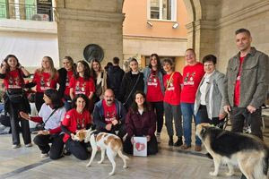Ηράκλειο: Επιτυχημένη η 2η γιορτή υιοθεσίας αδέσποτων σκύλων