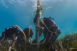 Σητεία: Άμεσα ο υποβρύχιος καθαρισμός στα Λιβάδια της Ποσειδωνίας