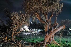 Καταστροφές σε ελαιώνες και θερμοκήπια στον Δήμο Φαιστού από την κακοκαιρία