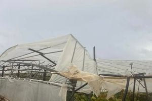 Tυμπάκι: Πρωτόγνωρες εικόνες μετά το σαρωτικό πέρασμα ανεμοστρόβιλου