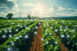 Εταιρεία δημιούργησε το πρώτο βρώσιμο μπρόκολο με τη βοήθεια της τεχνητής νοημοσύνης