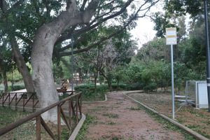 Επεισόδιο στο κέντρο του Ηρακλείου: Έβριζε την πρώην σύντροφό του και συνελήφθη