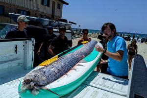 Το ψάρι που “προκάλεσε” τον σεισμό 7 ρίχτερ στην Καλιφόρνια