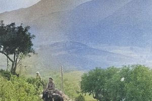 Δουλειά για όλους…