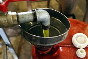 Τενεκές και 5χίλιαρο από 2025 – Το πρόστιμο της ΑΑΔΕ για αδήλωτο ελαιόλαδο