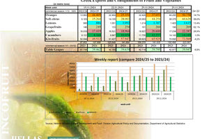 Σοκ στο Αρτέμιο Φράνκι: Ο Μποβέ κατέρρευσε στο γήπεδο, ανέκτησε τις αισθήσεις του στο νοσοκομείο σύμφωνα με τα ιταλικά ΜΜΕ