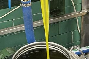 Βγήκε το πρώτο λάδι του δήμου Θεσσαλονίκης – Αναζητούνται «νονοί» για το όνομα και την ετικέτα