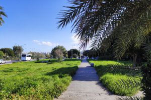 Η «γκρίζα ζώνη» στο λιμάνι του Ηρακλείου είναι κατάλληλη για… βοσκή (φωτογραφίες)