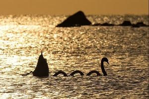 Ειδικός βιολόγος βάζει τέλος στις θεωρίες συνομωσίας για το τέρας του Λοχ Νες