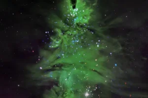 Αστρικό σμήνος σχηματίζει ένα… χριστουγεννιάτικο δέντρο – Η εντυπωσιακή φωτογραφία της NASA