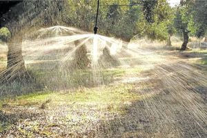 Βιάννος: Καλλιέργειες με το σταγονόμετρο  λόγω της παρατεταμένης λειψυδρίας