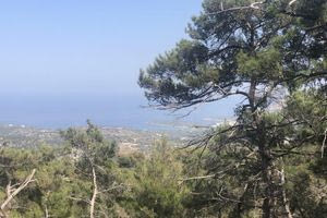 Στου Λασιθιού τις στράτες